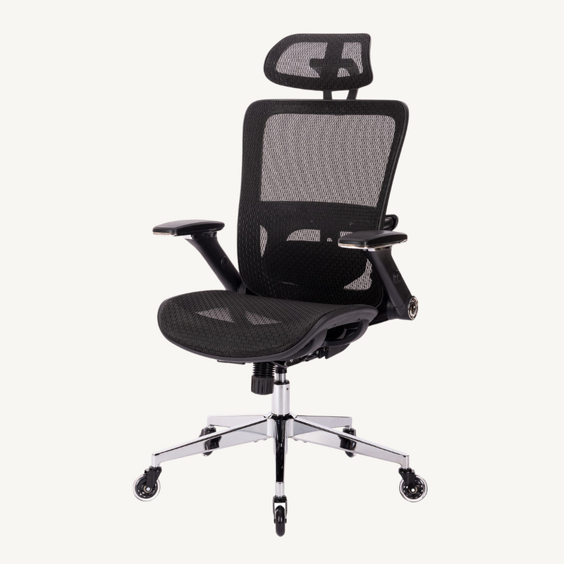 BLACK Ergonomic Chair