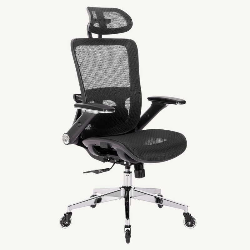 BLACK Ergonomic Chair