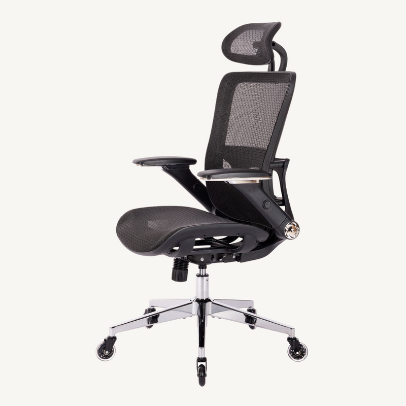 BLACK Ergonomic Chair