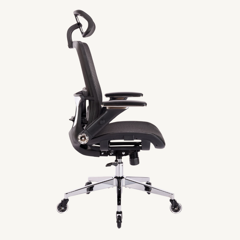 BLACK Ergonomic Chair