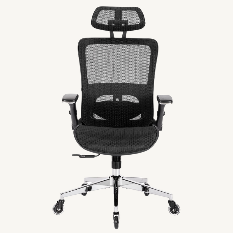 BLACK Ergonomic Chair